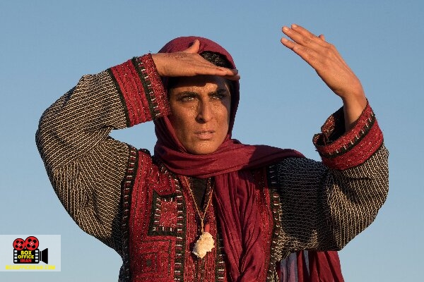 شورای پروانه نمایش