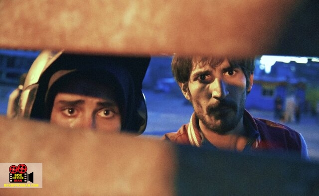 رضا میرکریمی