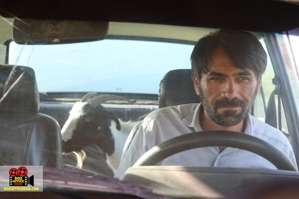 فیلم سینمایی