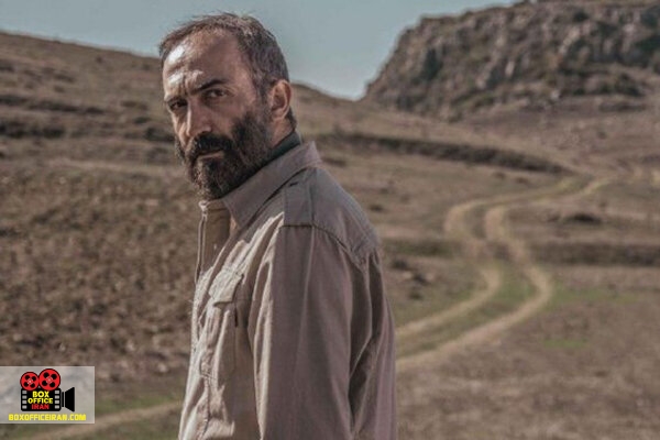 هادی حجازیفر