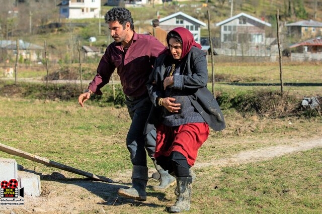 تیتی