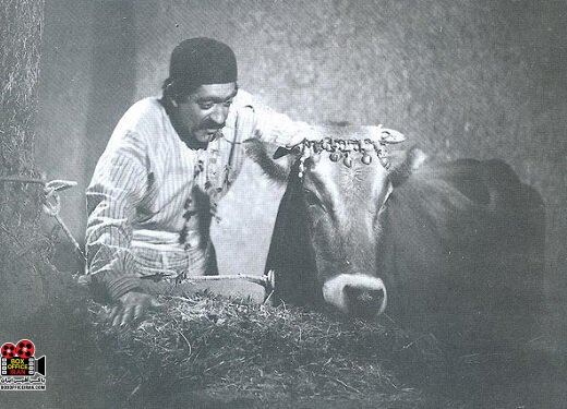 داریوش مهرجویی