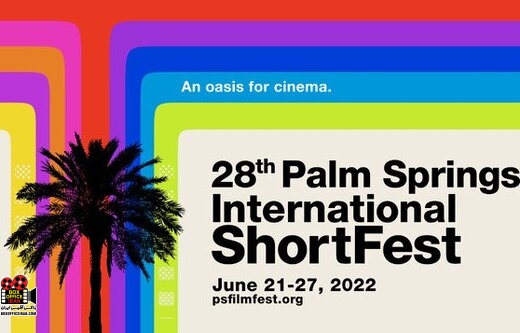 پلی میان مرزها