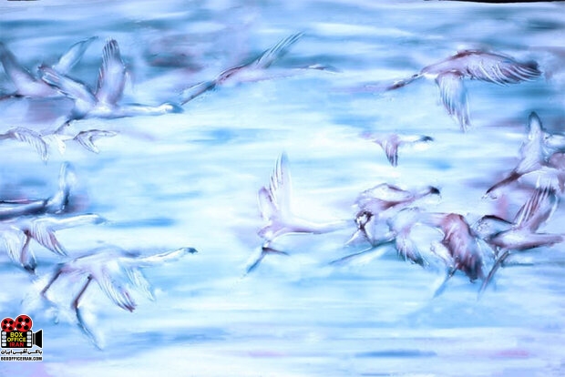 انیمیشن کوتاه