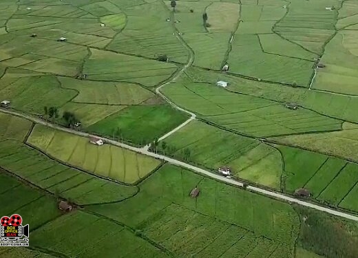 بر فراز الندان