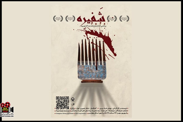 مهدی شاه پیری