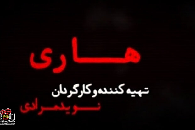 نوید مرادی