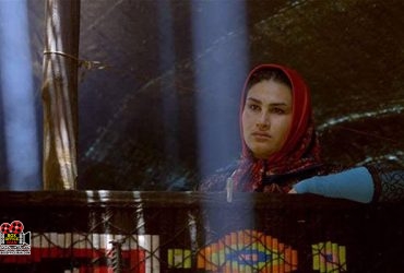 سوسن در سحر میشکفد