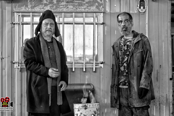 جشنواره تالین