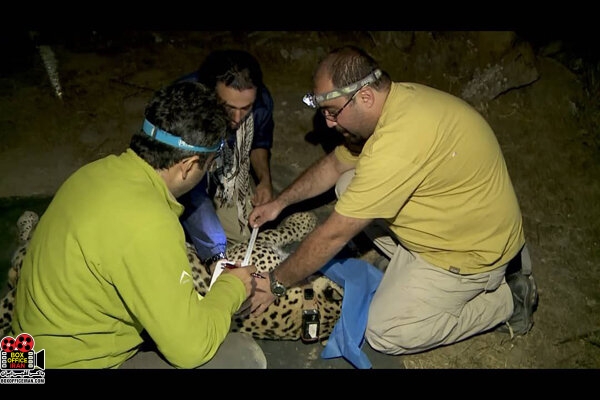 عملیات پلنگ