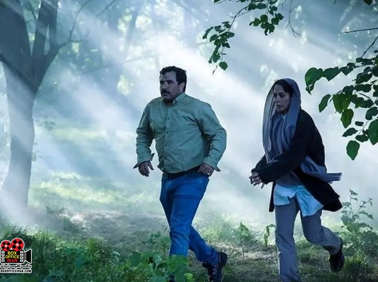 «در آغوش درخت»