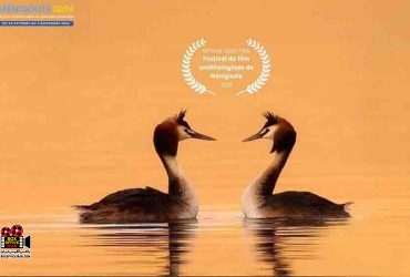 مستند «کشیم عاشق»