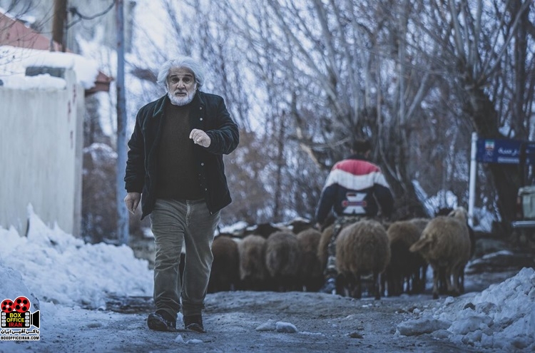 «چشم بادومی»