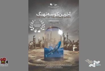 «آخرین کوسه نهنگ»