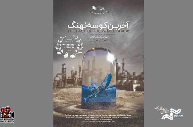 «آخرین کوسه نهنگ»