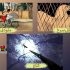 انیمیشن