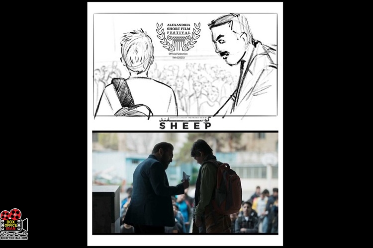 حیوان دو پا؛ گوسفند