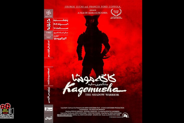 جنگجوی سایه