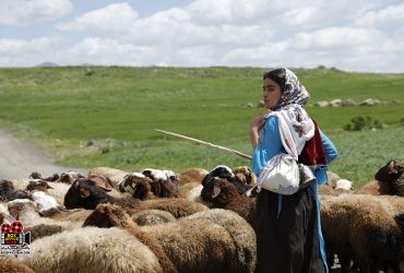 «دشت می‌خواند»