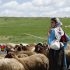 «دشت می‌خواند»