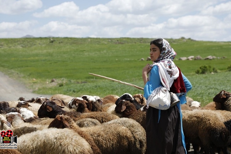 «دشت می‌خواند»