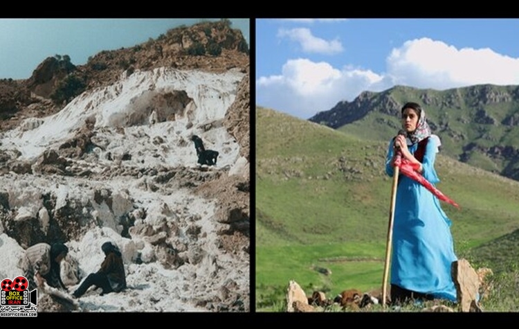 «دلا لسینیا»