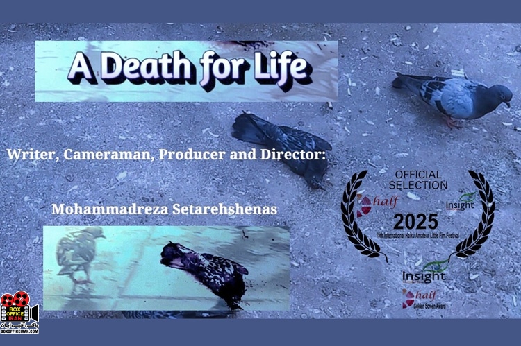 «مرگی برای زندگی»